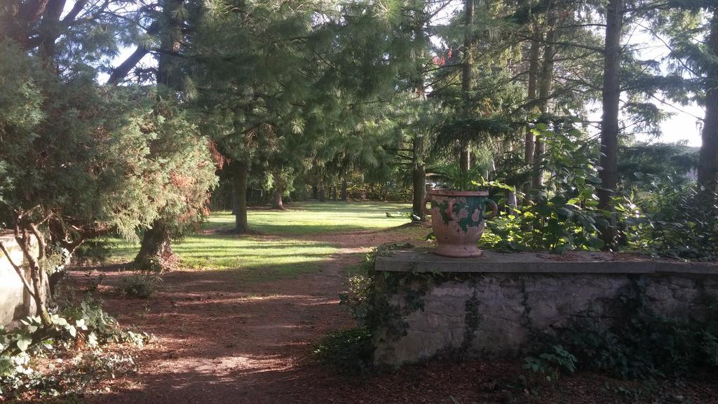 Relais De La Haute Pommeraye Apremont  Екстериор снимка
